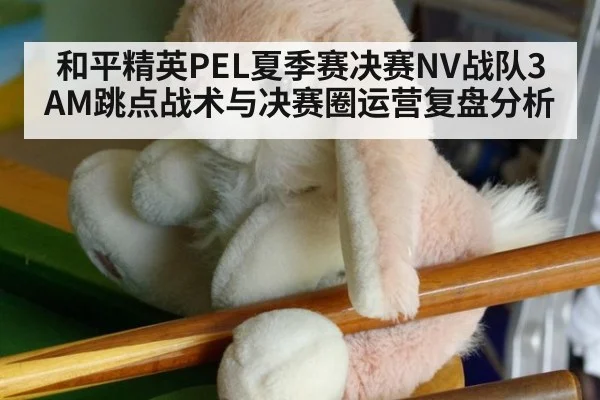 和平精英PEL夏季赛决赛NV战队3AM跳点战术与决赛圈运营复盘分析